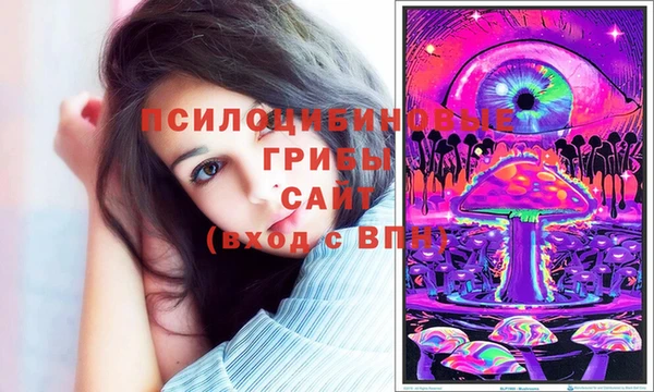МДМА Горняк