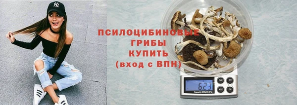 ПСИЛОЦИБИНОВЫЕ ГРИБЫ Горнозаводск