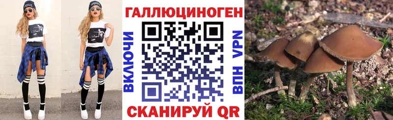 Купить где  Полысаево  Галлюциногенные грибы MAGIC MUSHROOMS 
